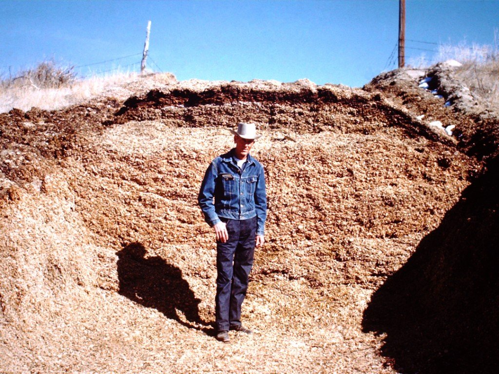 G.G. Rochfort Image Archive